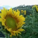 Aratro & Rosmarino Oda ve Kahvaltı