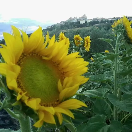 Aratro & Rosmarino Bed & Breakfast