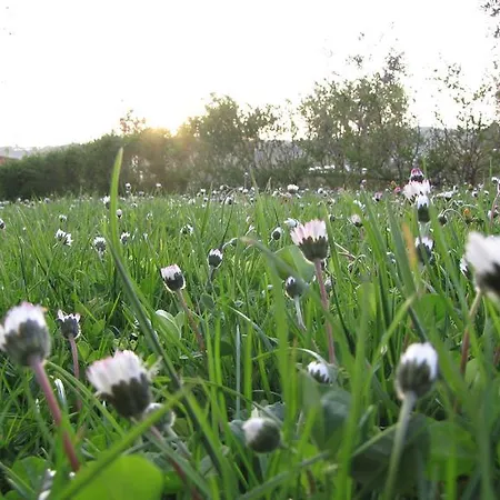 Aratro & Rosmarino 4* Civitanova Marche