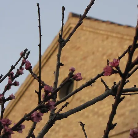 Bed & Breakfast Aratro & Rosmarino 4*