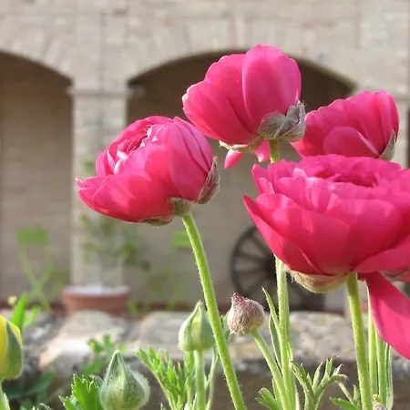 Bed & Breakfast Aratro & Rosmarino