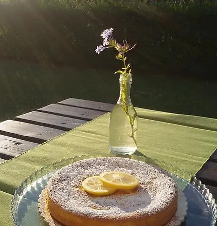 Aratro & Rosmarino Civitanova Marche