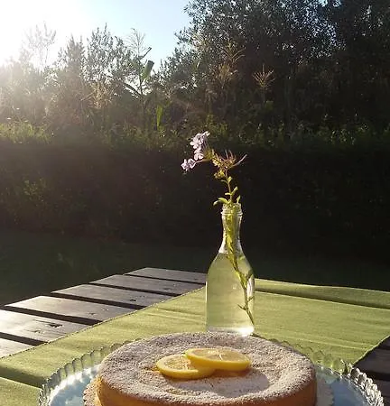 Aratro & Rosmarino Civitanova Marche