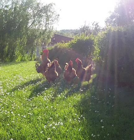 Bed & Breakfast Aratro & Rosmarino