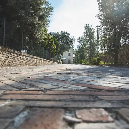 Bed & Breakfast Aratro & Rosmarino Civitanova Marche