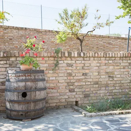 Aratro & Rosmarino Civitanova Marche