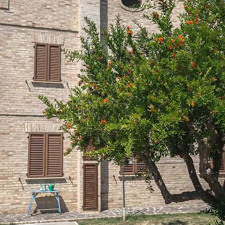 Aratro & Rosmarino 4* Civitanova Marche