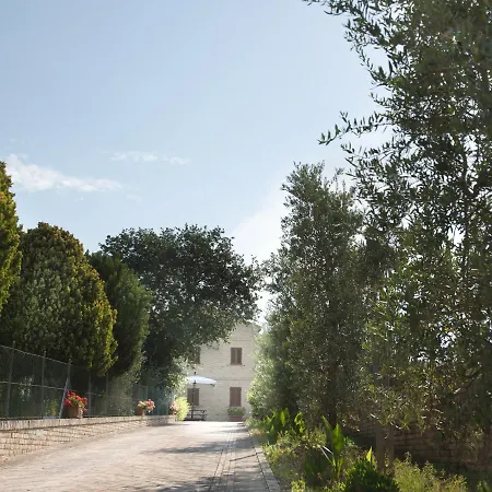 Aratro & Rosmarino Civitanova Marche