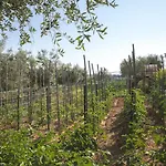 Aratro & Rosmarino Bed and breakfast