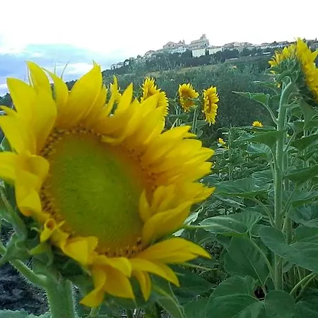 Aratro & Rosmarino Bed & Breakfast 3*