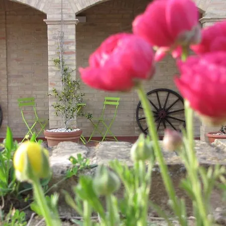 Aratro & Rosmarino 4* 시비타노바 마르셰