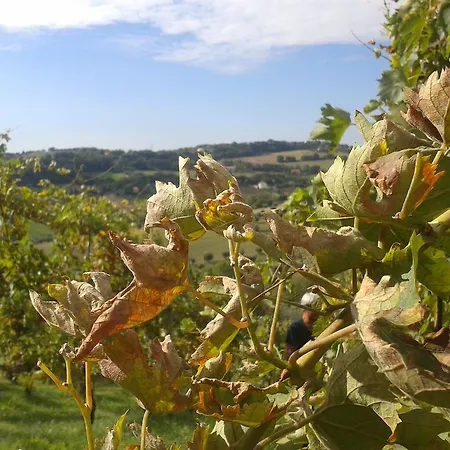 Aratro & Rosmarino Bed & Breakfast Civitanova Marche