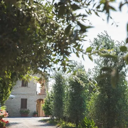 Bed & Breakfast Aratro & Rosmarino Civitanova Marche