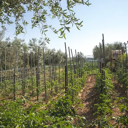 Aratro & Rosmarino Bed & Breakfast